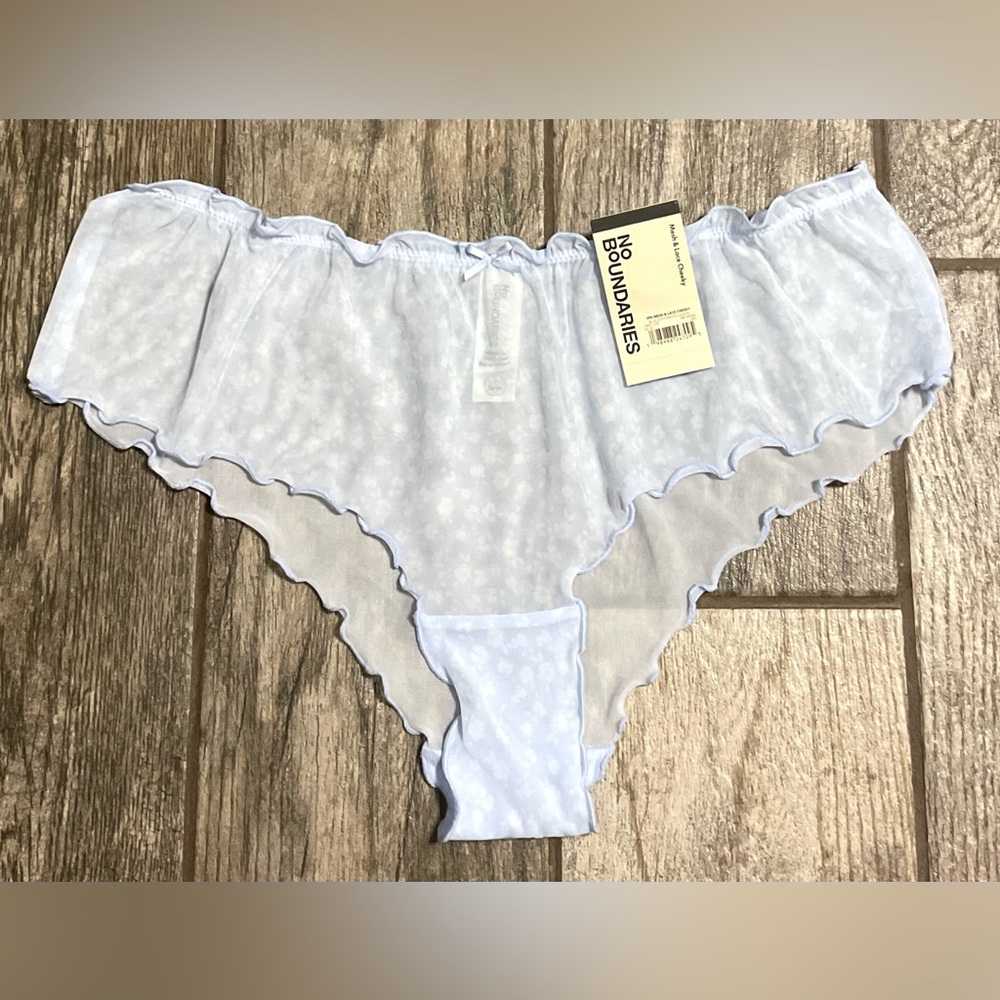 New Nobo, No Boundaries mesh cheeky panties size S, M, L, XXL, XXXL Blue Ditsy